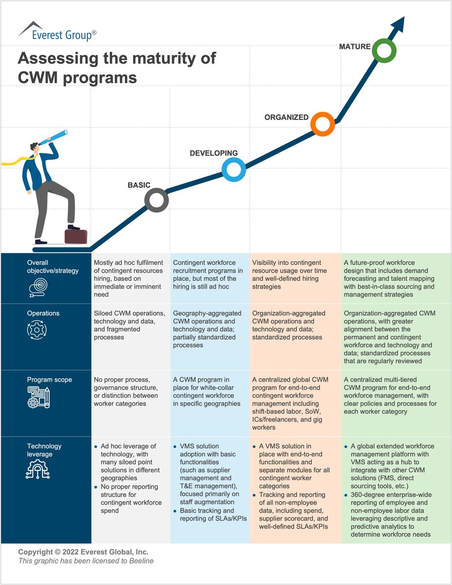 Everest Group Report Infographic